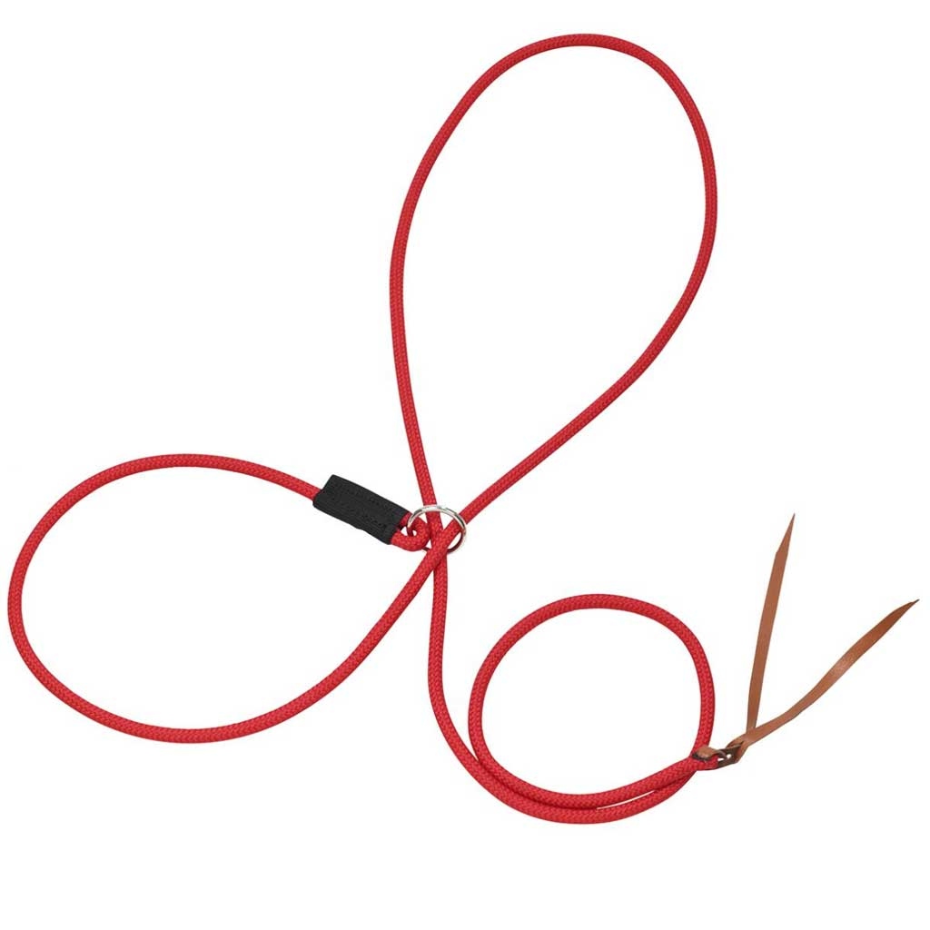 Busse Halfter Funktion 3-in-1