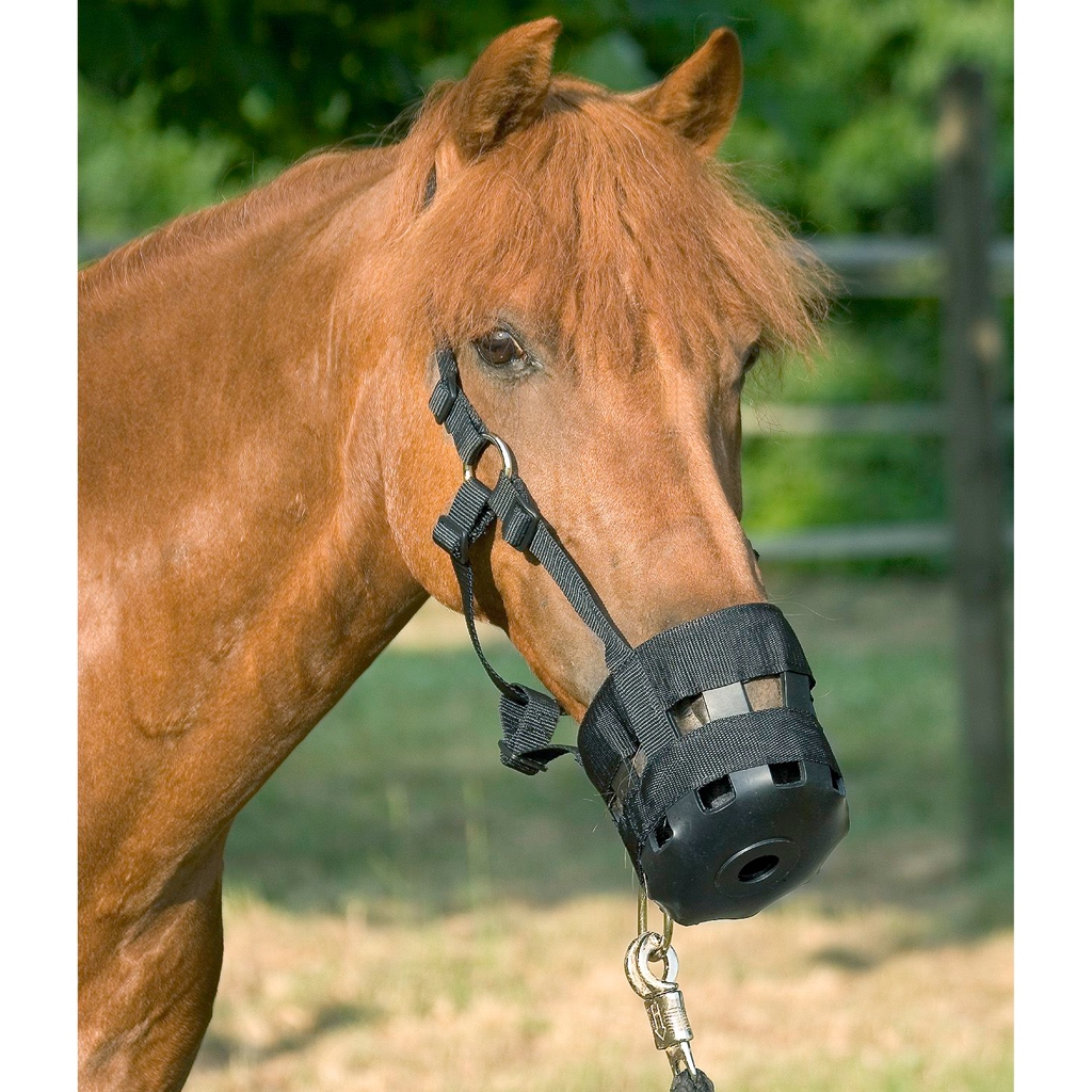 USG Fressbremse Polyamid und Gummi