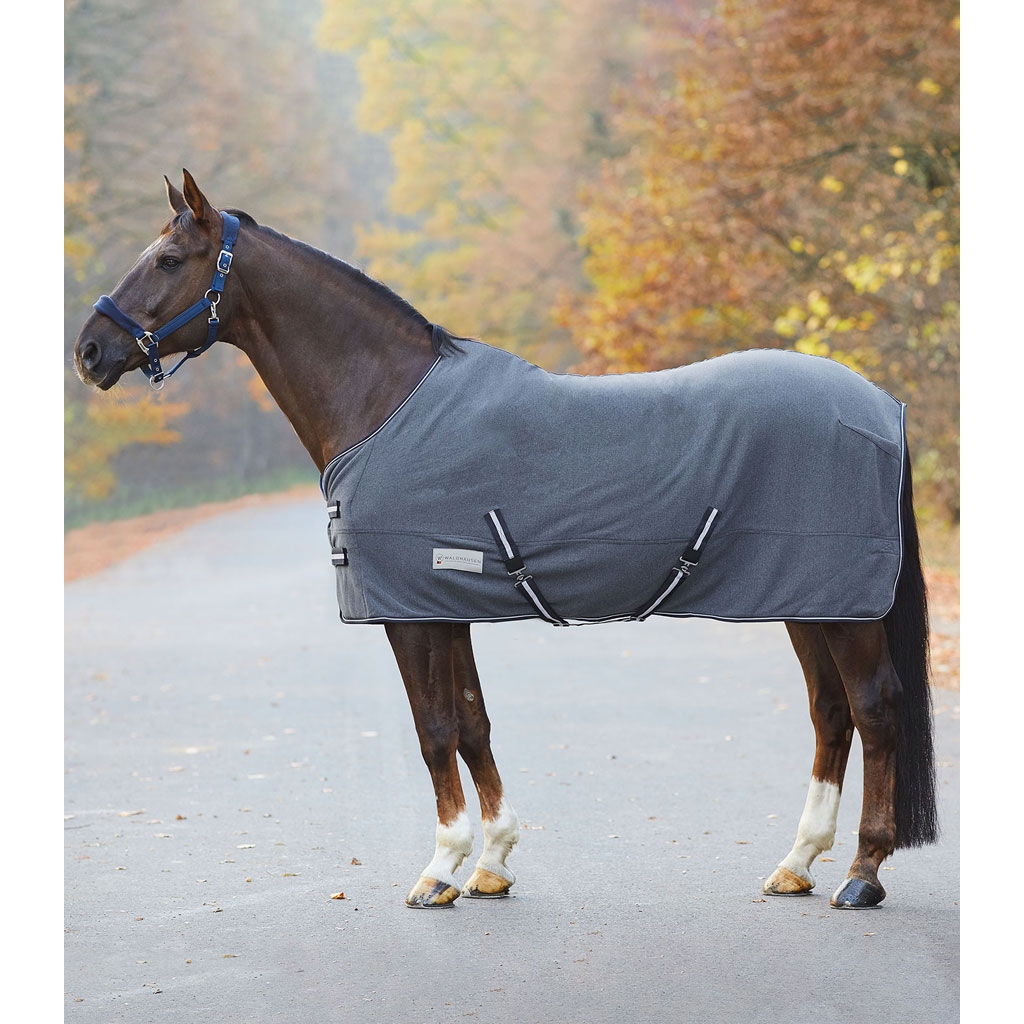 Waldhausen Transport- und Übergangsdecke