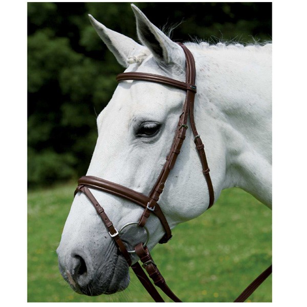 Sevilla Trense englisch kombiniert