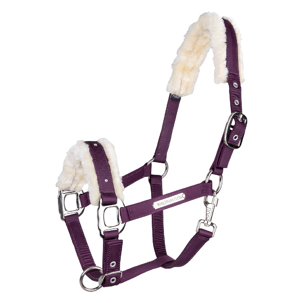 Waldhausen Halfter Barcelona