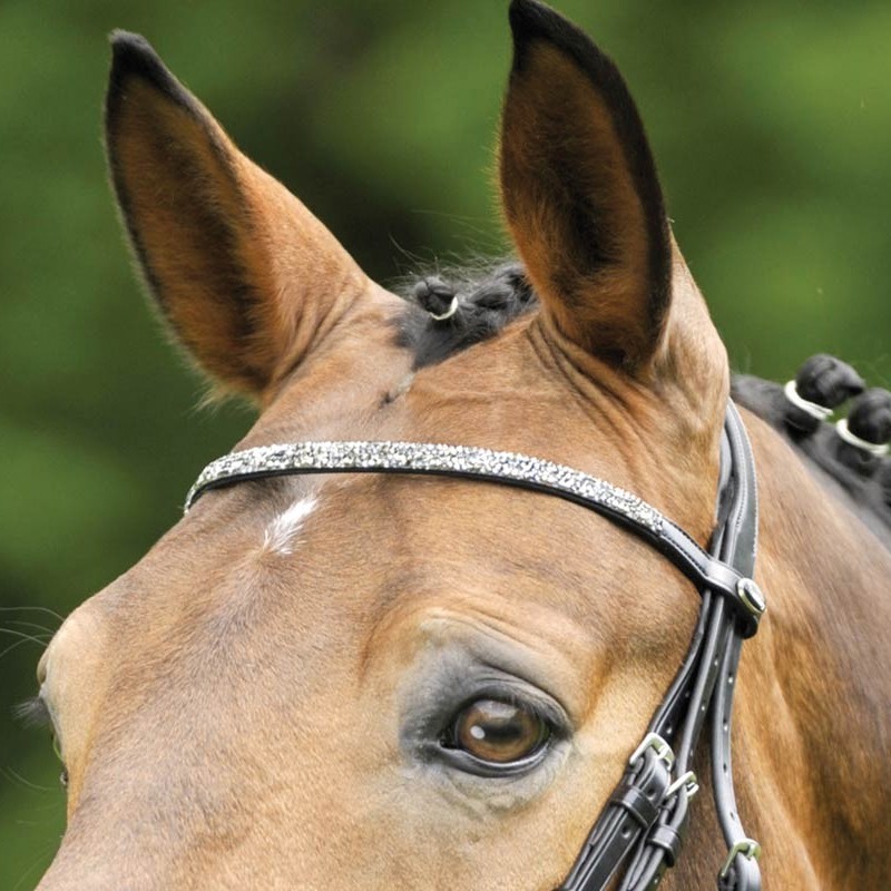 Waldhausen Trense S-Line Ipswich