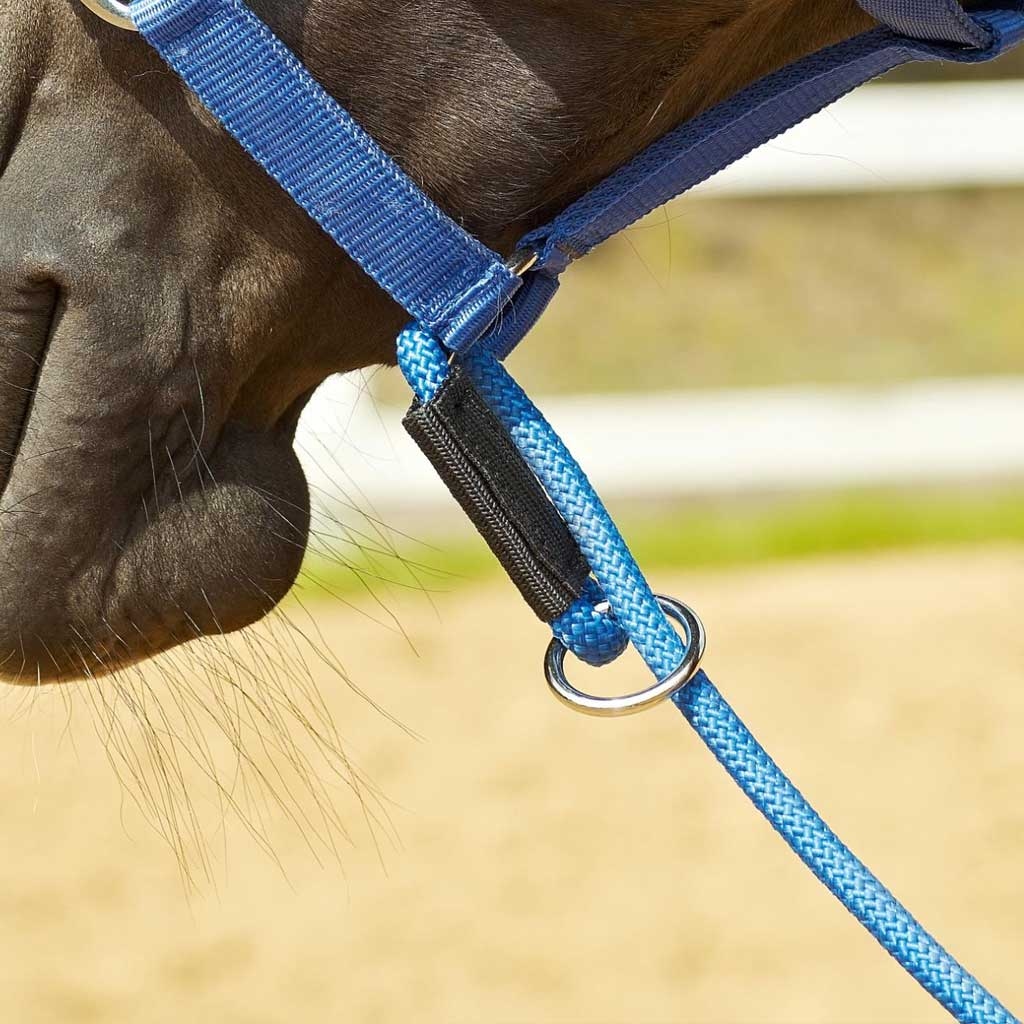 Busse Halfter Funktion 3-in-1