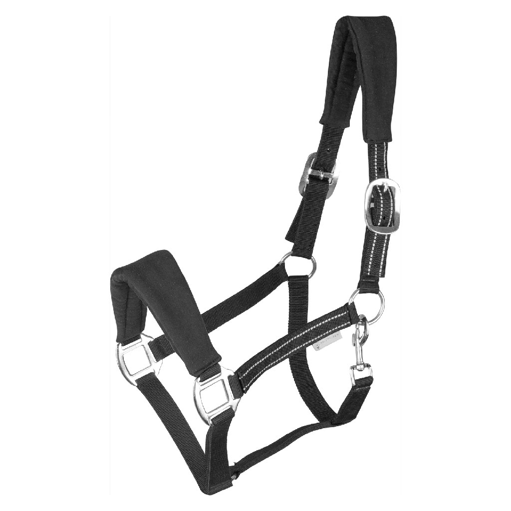 Waldhausen Halfter Alcantara