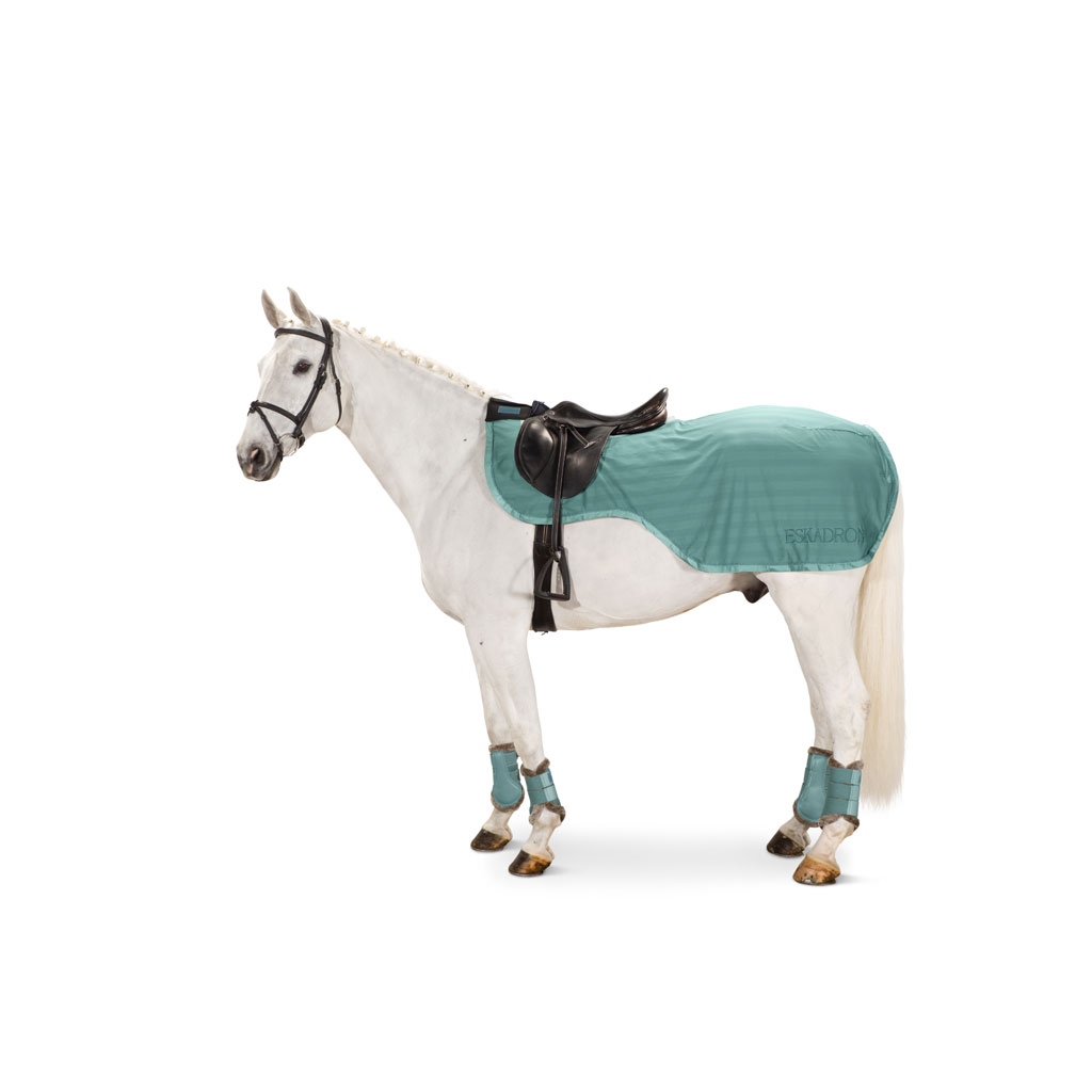 Eskadron Fliegenausreitdecke Exercise